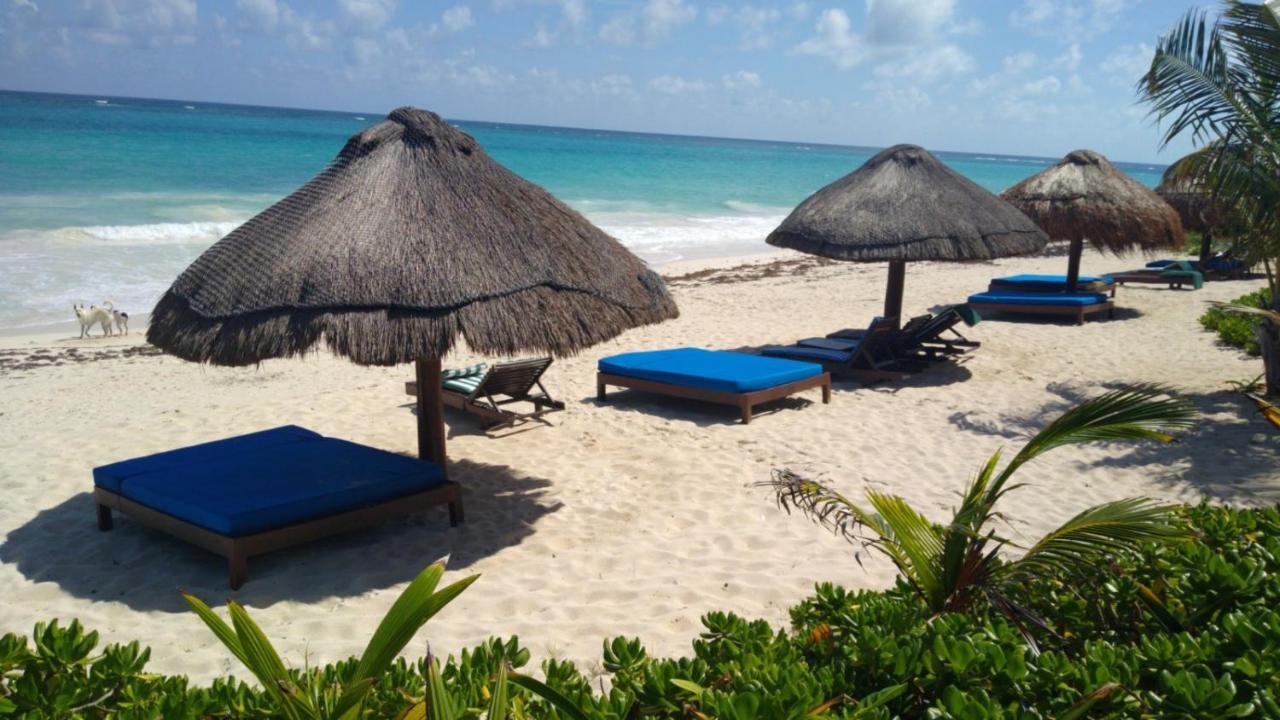 Sol Caribe Ξενοδοχείο Punta Allen Εξωτερικό φωτογραφία